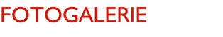 Fotogalerie